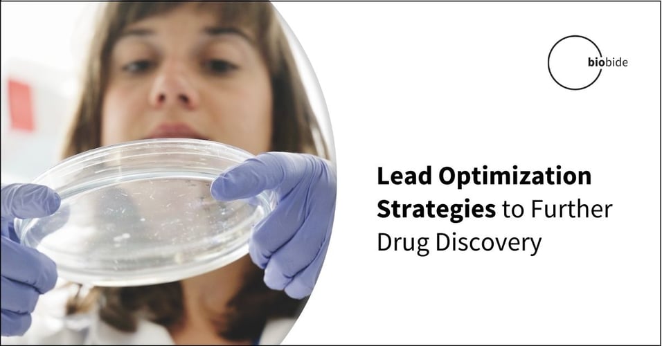 Lead Optimization Strategies to Further Drug Discovery