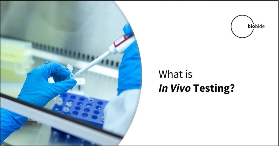 What is an In Vivo Test?