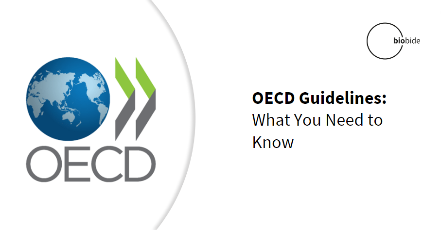 OECD Guidelines: What You Need to Know