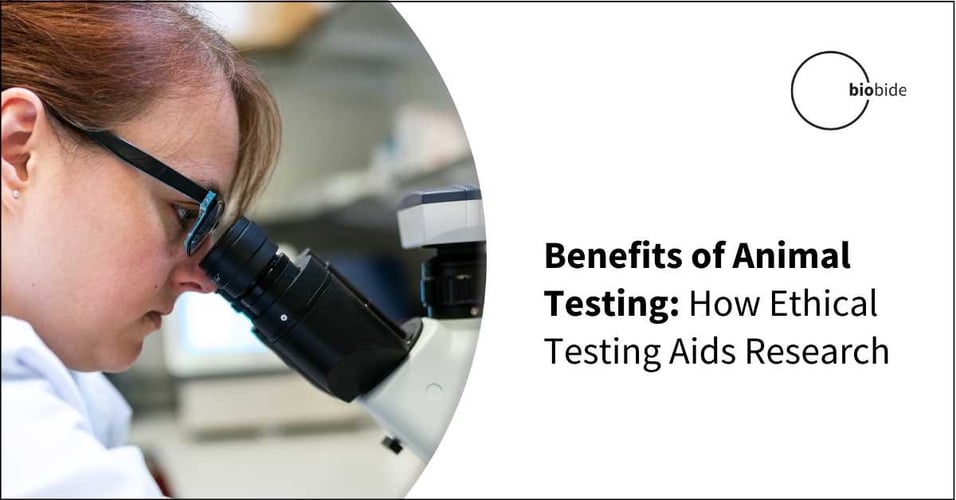 Benefits of Animal Testing: How Ethical Testing Aids Research