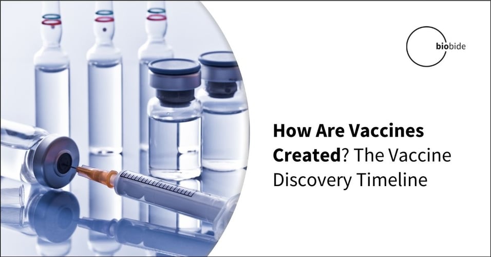 How Are Vaccines Created? The Vaccine Discovery Timeline