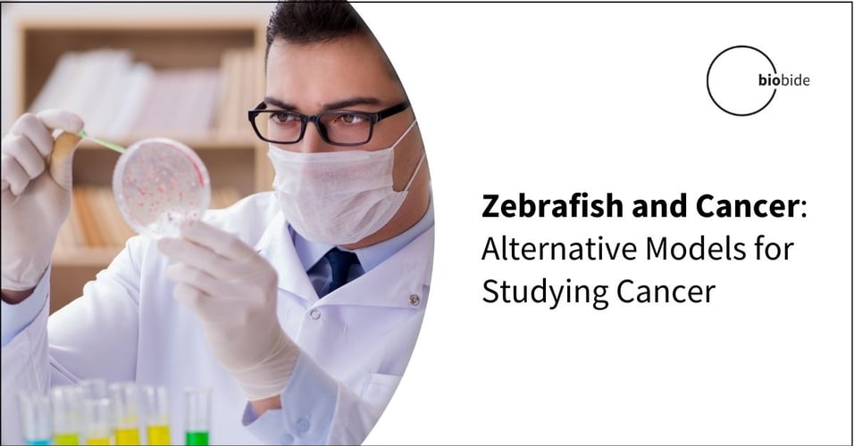 Zebrafish and Cancer: Alternative Models for Studying Cancer