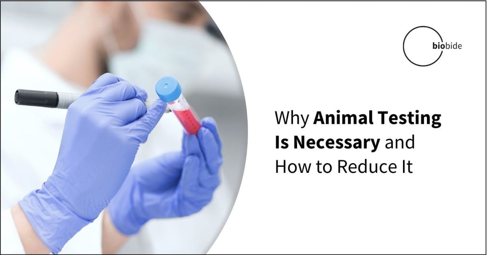 Why Animal Testing Is Necessary and How to Reduce It