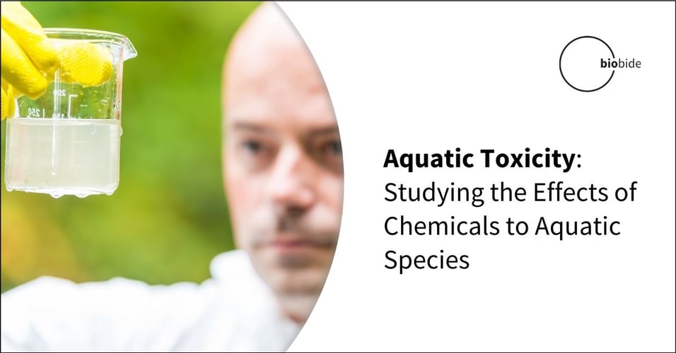Aquatic Toxicity: Studying the Effects of Chemicals on Aquatic Species