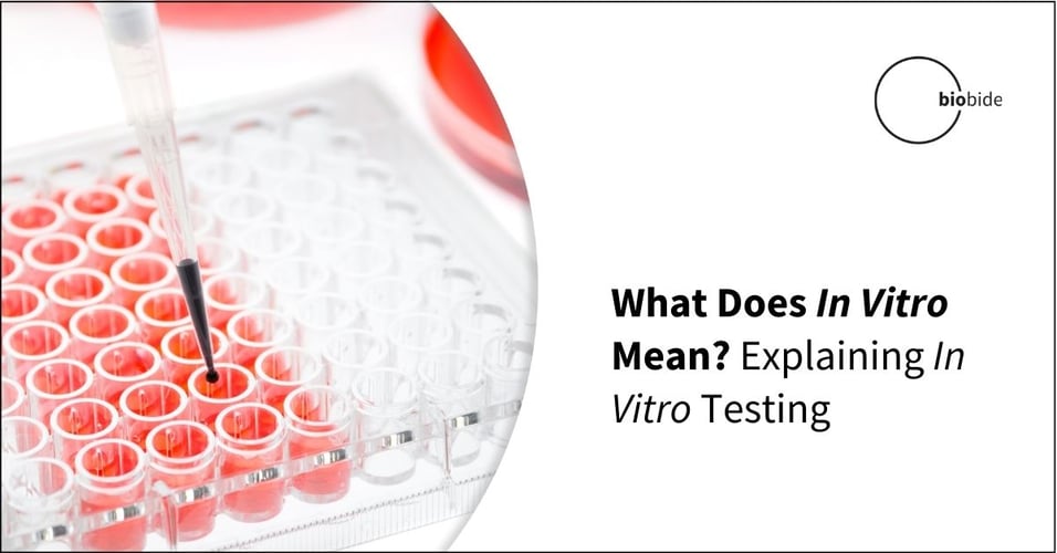 What Does In Vitro Mean? Explaining In Vitro Testing