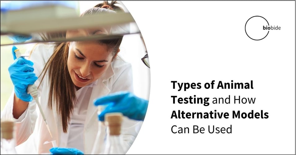 Types of Animal Testing and How Alternative Models Can Be Used