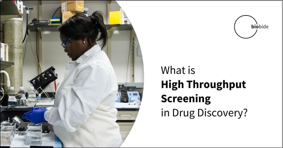 What is High Throughput Screening in Drug Discovery?
