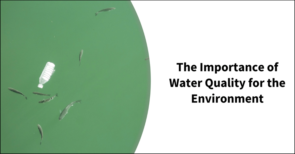 The Importance of Water Quality for the Environment