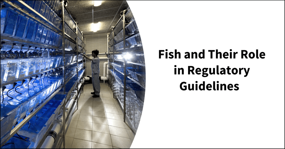 Fish and Their Role in Regulatory Guidelines
