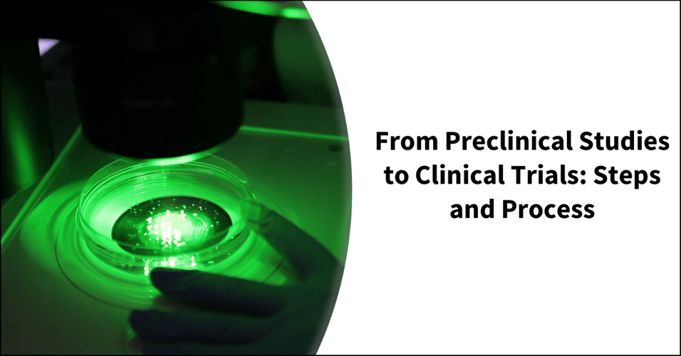From Preclinical Studies to Clinical Trials: Steps and Process