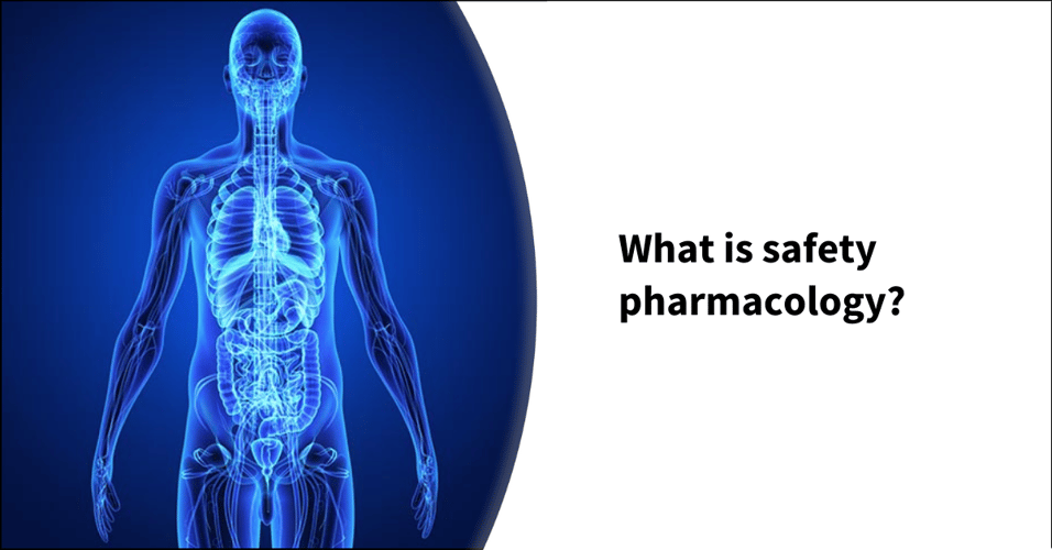 What is safety pharmacology?
