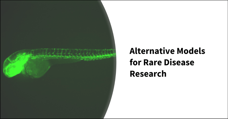 Alternative Models for Rare Disease Research