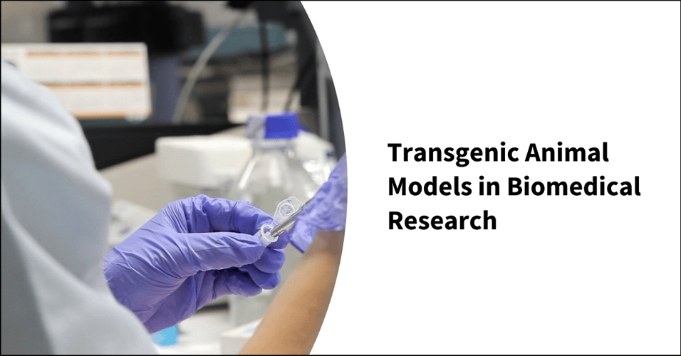 Transgenic Animal Models in Biomedical Research