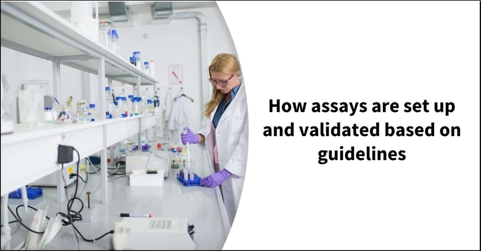 How assays are set up and validated based on guidelines