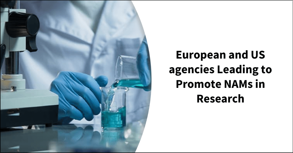 European and US agencies Leading to Promote New Alternative Methods in Research