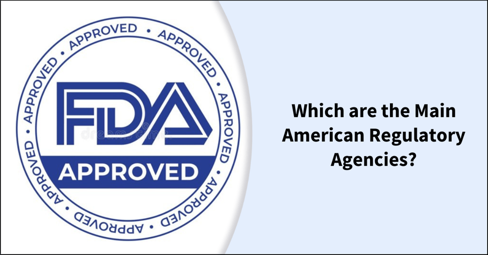 Which are the Main American Regulatory Agencies?