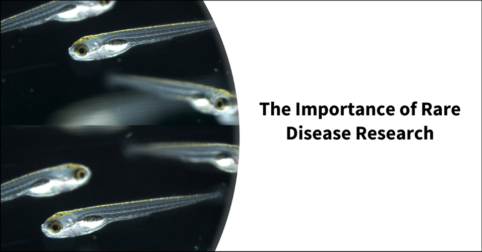 The Importance of Rare Disease Research