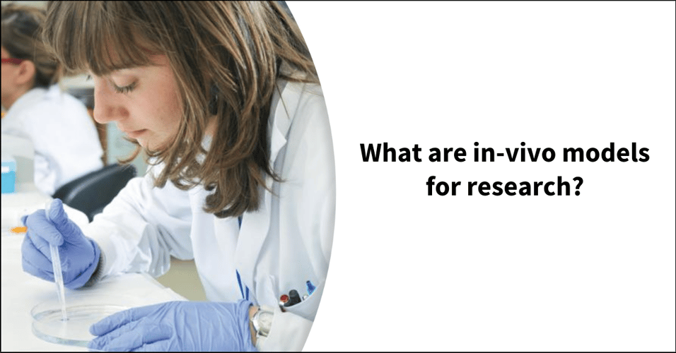 What are in-vivo models for research?