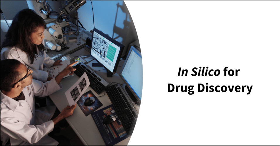 In Silico for Drug Discovery