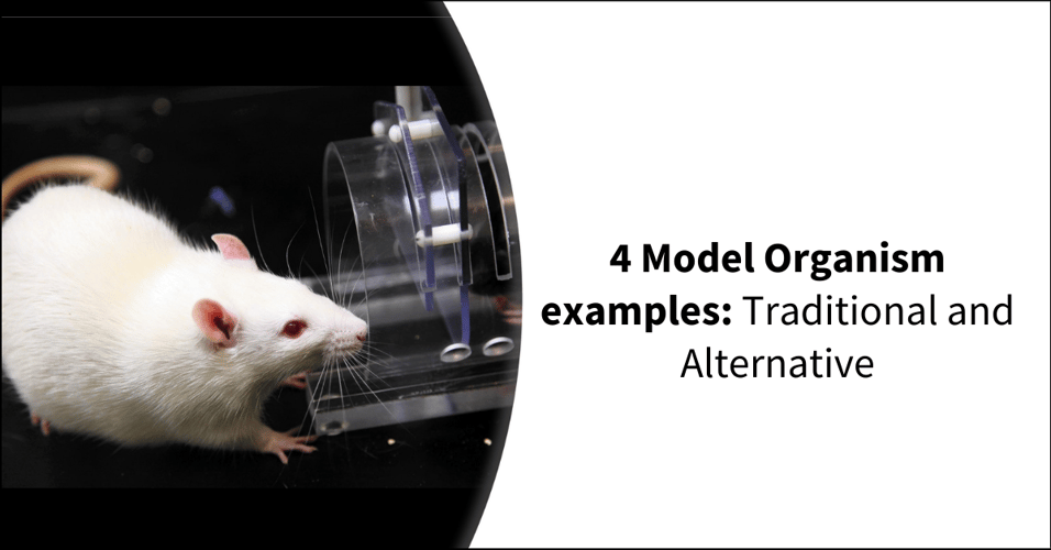 4 Model Organism examples: Traditional and Alternative