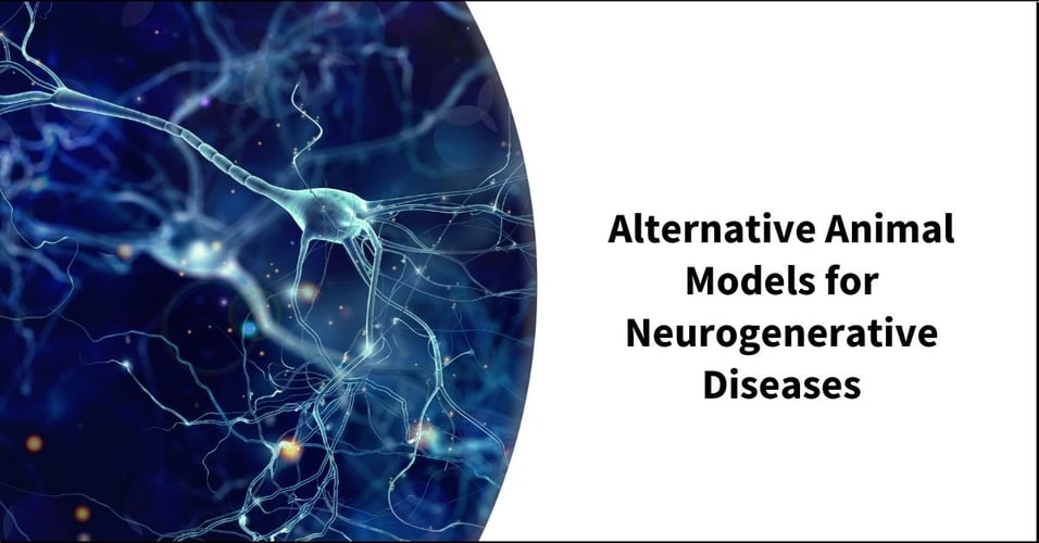 Alternative Animal Models for Neurogenerative Diseases