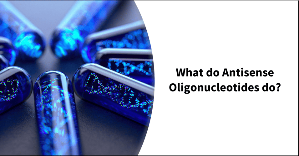 What do Antisense Oligonucleotides do?