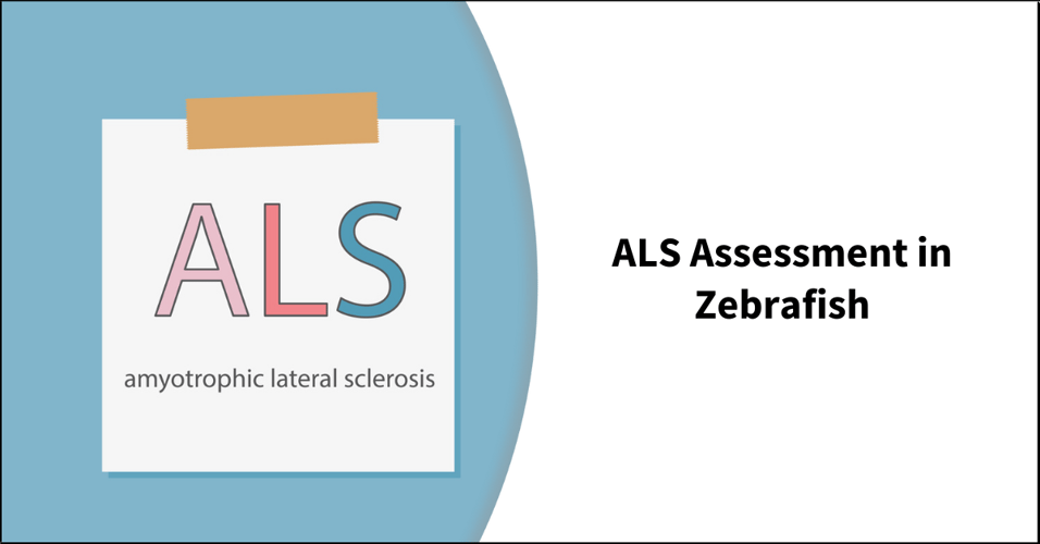 ALS Assessment in Zebrafish