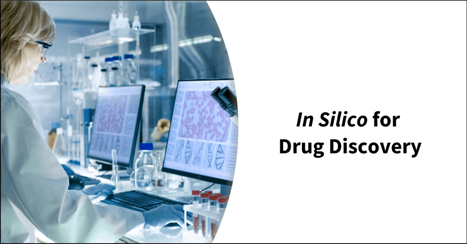 In Silico for Drug Discovery