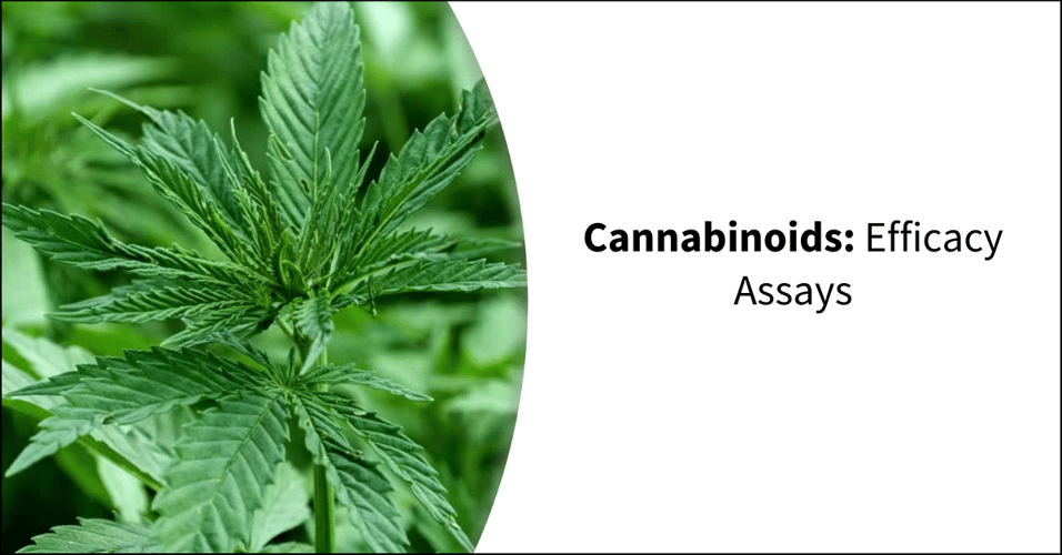 Cannabinoids Efficacy Assays