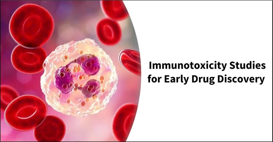 Immunotoxicity Studies for Early Drug Discovery