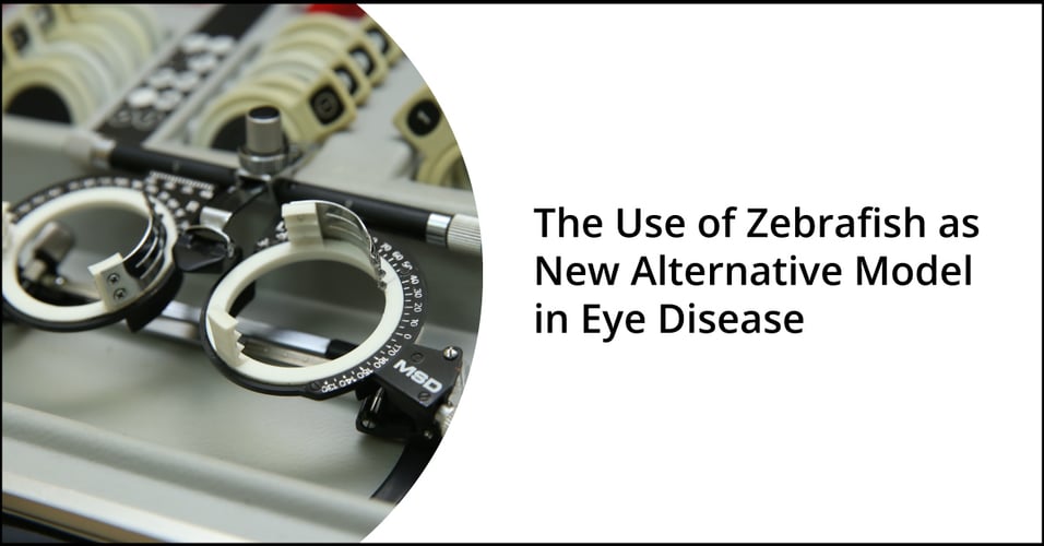 The Use of Zebrafish as New Alternative Model in Eye Disease.