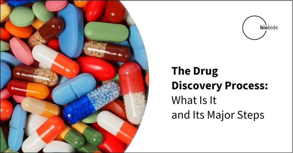The Drug Discovery Process: What Is It and Its Major Steps
