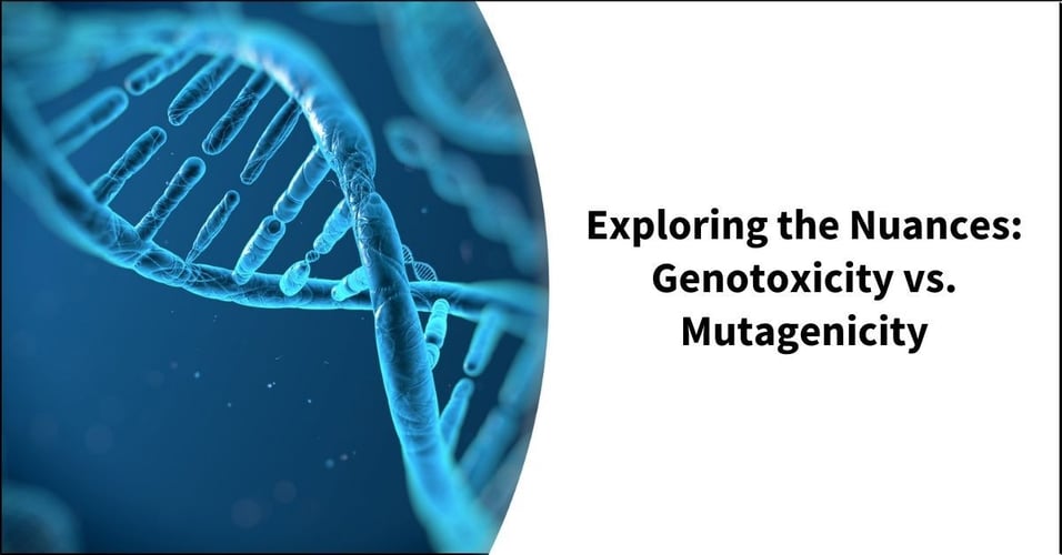 Exploring the Nuances: Genotoxicity vs. Mutagenicity