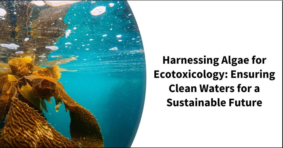 Harnessing Algae for Ecotoxicology: Ensuring a Clean Environment for a Sustainable Future