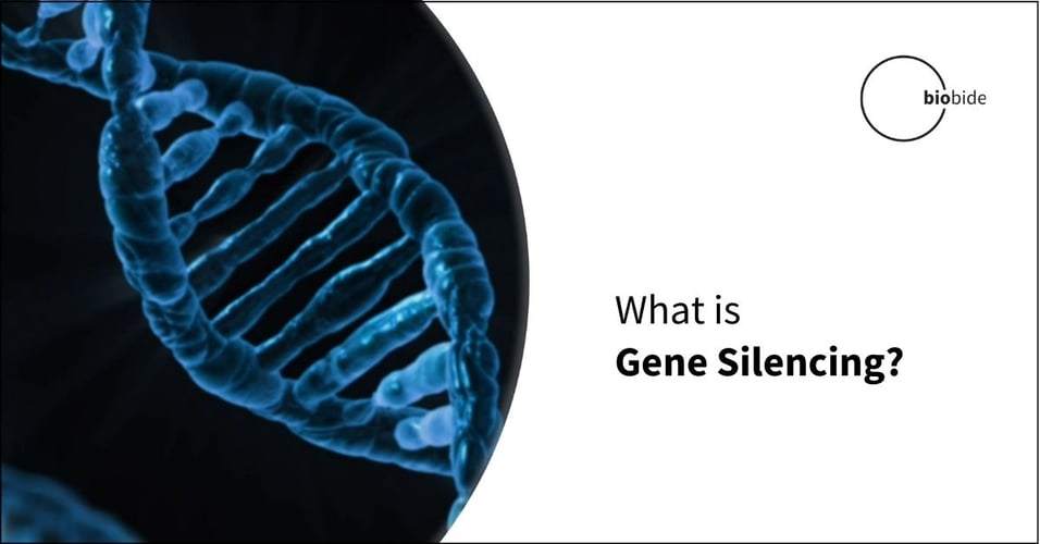 What is Gene Silencing?