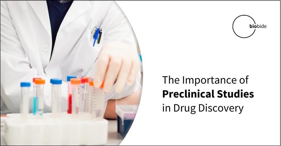 The Importance of Preclinical Studies in Drug Discovery