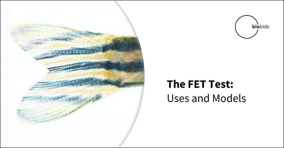 The FET Test: Uses and Models