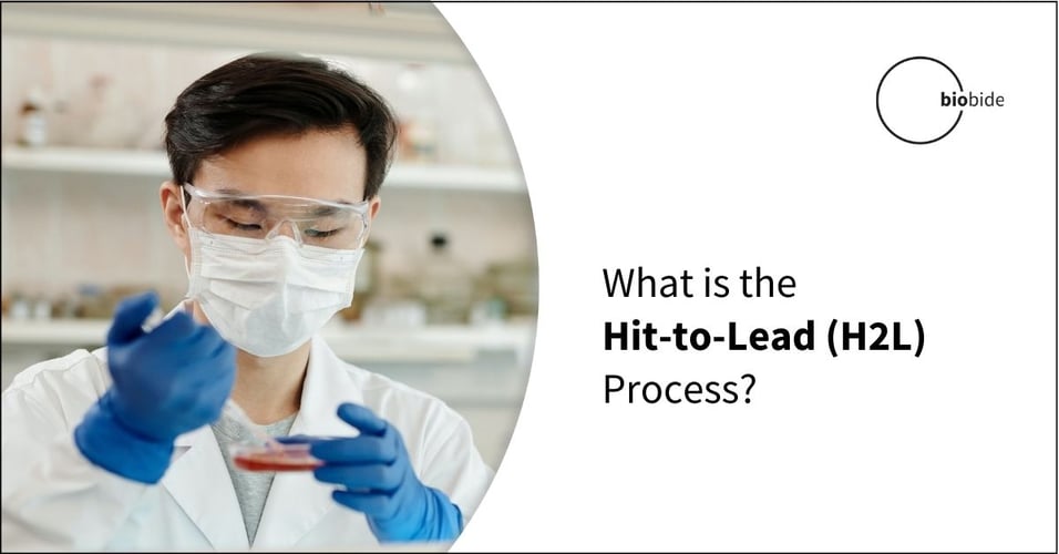 What is the Hit to Lead (H2L) Process?