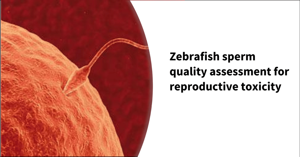 Zebrafish sperm quality assessment for reproductive toxicity